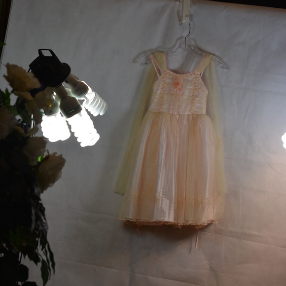 Thy Thy Peach Dress SZ 6 - Picture 2 of 10